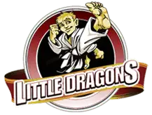 Martial Arts Little Dragons