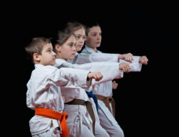 Tae Kwon Do Teachings